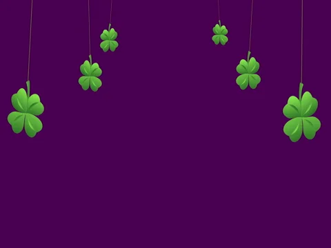 St Patricks Day Shamrock Stock-Footage 73117603