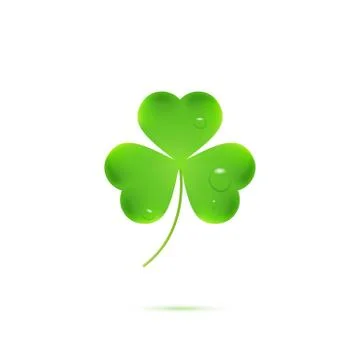 St. Patrick`s three leaf clover. Realistic shamrock with water drops Stock Illustration