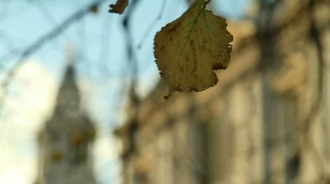 St. Paul's Cathedral Video stock 643697