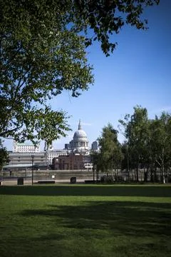 St Paul's cathedral seen between greenery from the South Bank Stock Photos