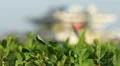 St. Pete Pier in St. Petersburg, Florida HD Footage