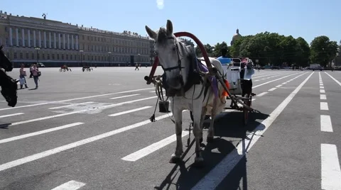 St. Petersburg Vídeo Stock 6899073