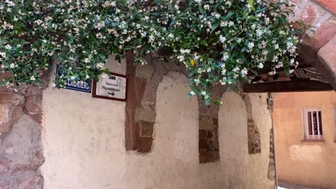 St Raphael 1 Stock Footage 197360794