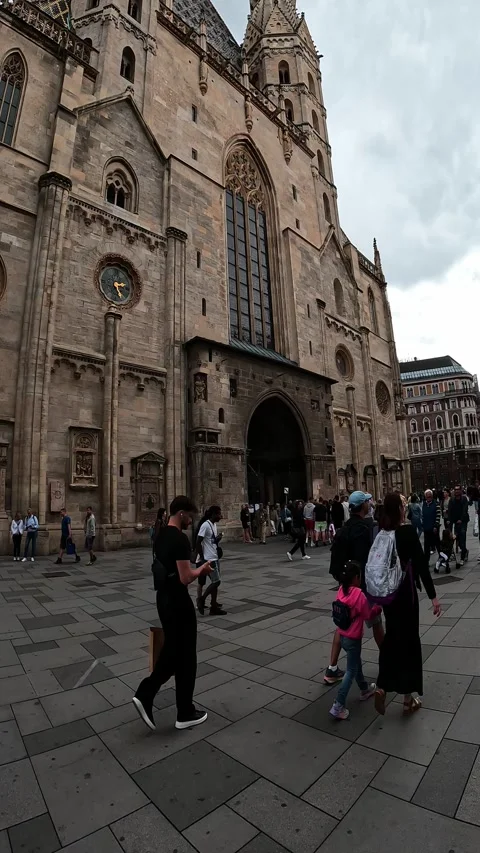 The St. Stefen's cathedral in Vienna-Austria. Stock Footage 313501505
