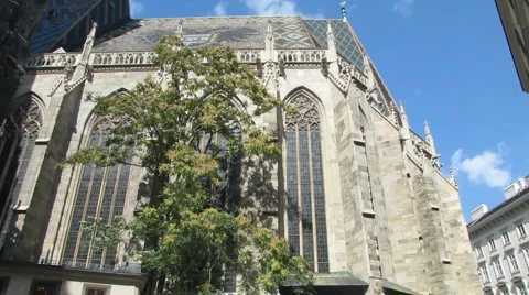 St. Stephens Cathedral Video stock 1065988