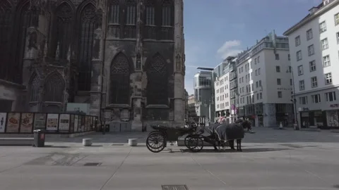 St. Stephens Cathedral on Sunday Stock Footage 151844222