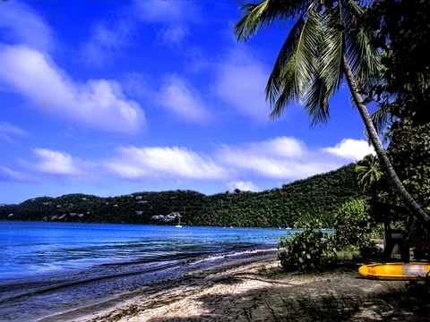 St Thomas beautiful beaches and palms at famous Magens Bay and ocean with waves Stock-Footage 75687824
