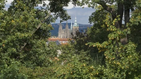 St. Vitus Cathedral. Stock Footage 117679864