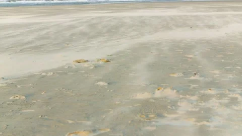 St2020-05 Stock Footage 146268498