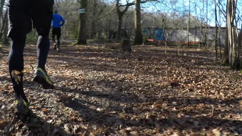 Stabilised shot of men trail running in the forest Stock-Footage 112006326