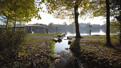 Stabilised shot past small stream into rhine river during fall and sunset Stock Footage 260741912