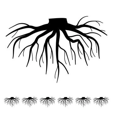 Stability tree root cartoon vector graphic Stock Illustration