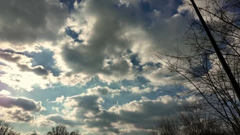 Stabilized 4k footage of a cloudy sky with branches swaying Stock-Footage 304916688