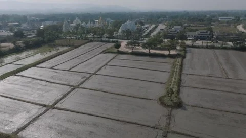 Stabilized Advance with Rising Camera from Rice Fields to Temple  Wat Rong Kh Stock Footage 333632787