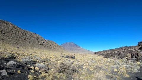 Stabilized camera movement going sideways on La Payunia National Park Stockbeeldmateriaal 91521052
