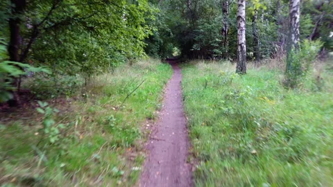 Stabilized camera view from bike riding thru the forest path Stock Footage 160609521