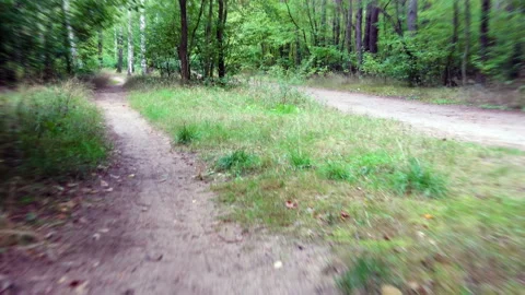 Stabilized camera view from bike riding thru the forest path Stock Footage 160610128