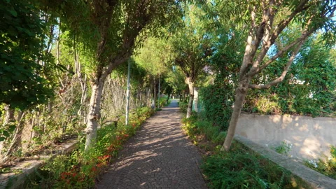 Stabilized forward walk along cobblestone park path with trees and flowers Stock Footage 322102728