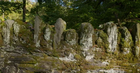 Stabilized Gimbal Shot Moss Growing on Historic Wall Stock Footage 142006381