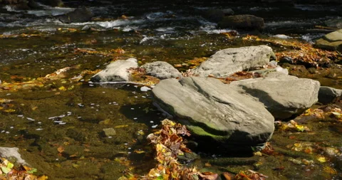 Stabilized Gimbal Shot of Waterfall On Stream in Autumn Fall Stock Footage 142009349