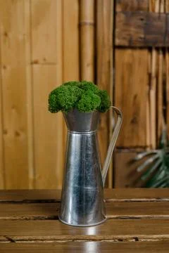 Stabilized moss.Stabilized moss in the pot Stock Photos