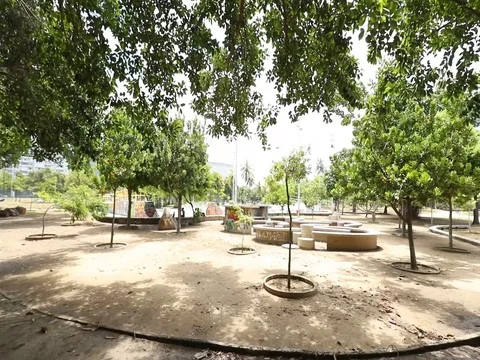 STABILIZED PARK PUSH 스톡 동영상 78244852