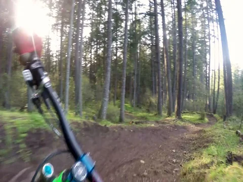 Stabilized Point Of View Of Man Mountain Biking Through Beautiful Green Forest Video stock 78076588