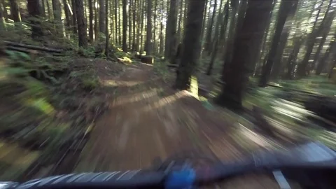 Stabilized POV of mountain biking through a sunny forest Video stock 78076899