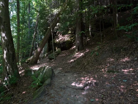 Stabilized shot hiking through forest under a tree near large rocks Video stock 82656962