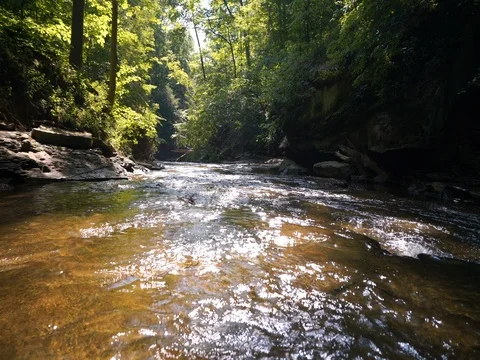 Stabilized shot moving over flowing stream Stock Footage 77168151