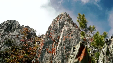 Stabilized shot of rock on the top of mountain . Close up cliff with plants Stock Footage 200771563