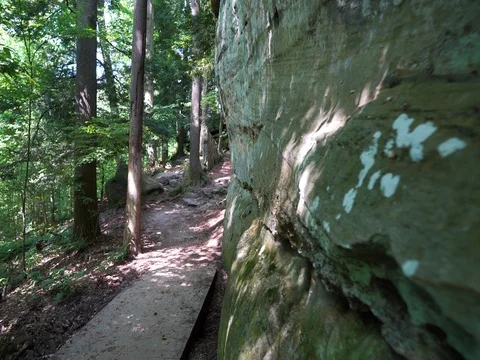 Stabilized shot walking down trail at Cuyahoga Valley Ledges Stock Footage 82665453