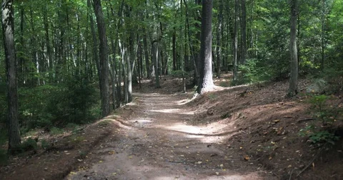 Stabilized walking medium shot on empty dirt forest trail Stock Footage 112146412