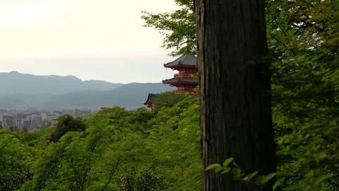 Stabilized Walkthrough of Red Pagoda at Temple in Kyoto, Japan Stock Footage 313768630