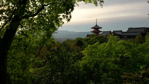 Stabilized Walkthrough of Red Pagoda at Temple in Kyoto, Japan Stock Footage 313768670