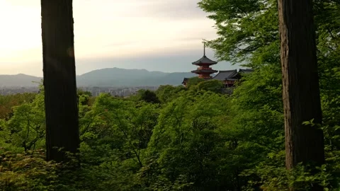 Stabilized Walkthrough of Red Pagoda at Temple in Kyoto, Japan Stock Footage 313768673