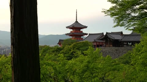 Stabilized Walkthrough of Red Pagoda at Temple in Kyoto, Japan Stock Footage 313768686