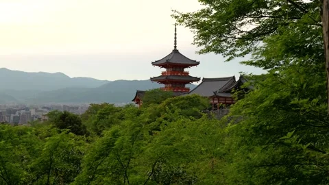 Stabilized Walkthrough of Red Pagoda at Temple in Kyoto, Japan Stock Footage 313768688