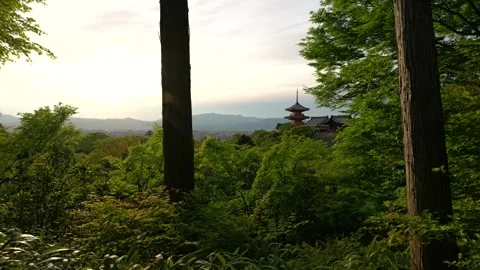 Stabilized Walkthrough of Red Pagoda at Temple in Kyoto, Japan Stock Footage 313768694