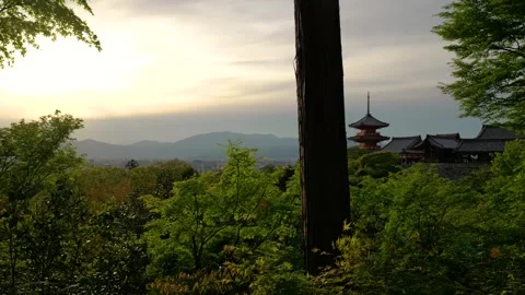 Stabilized Walkthrough of Red Pagoda at Temple in Kyoto, Japan Stock Footage 313768701