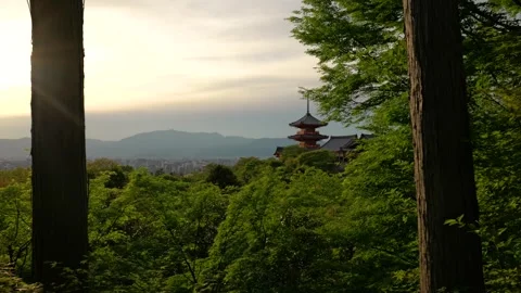 Stabilized Walkthrough of Red Pagoda at Temple in Kyoto, Japan Stock Footage 313768708
