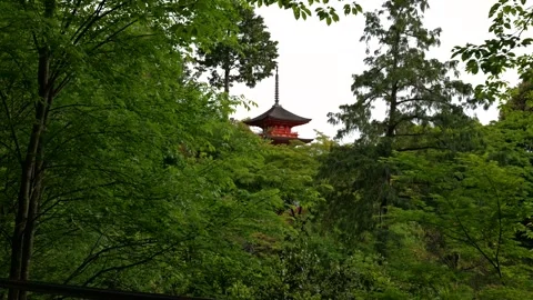 Stabilized Walkthrough of Red Pagoda at Temple in Kyoto, Japan Stock Footage 313768715