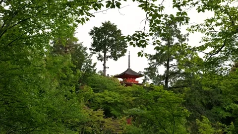 Stabilized Walkthrough of Red Pagoda at Temple in Kyoto, Japan Stock Footage 313768723