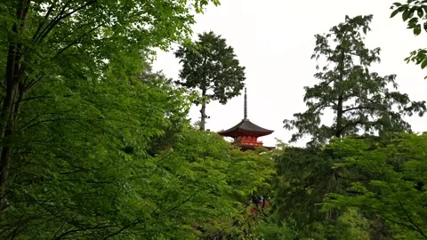 Stabilized Walkthrough of Red Pagoda at Temple in Kyoto, Japan Stock Footage 313768730