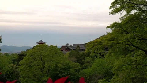 Stabilized Walkthrough of Red Pagoda at Temple in Kyoto, Japan Stock Footage 313768738