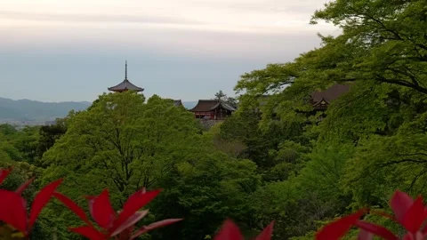 Stabilized Walkthrough of Red Pagoda at Temple in Kyoto, Japan Stock Footage 313768740