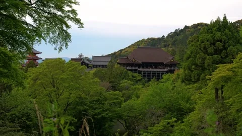 Stabilized Walkthrough of Red Pagoda at Temple in Kyoto, Japan Stock Footage 313768768