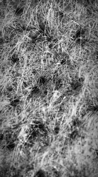 Stabilizing pads in printer ultra macro Stock-Fotos