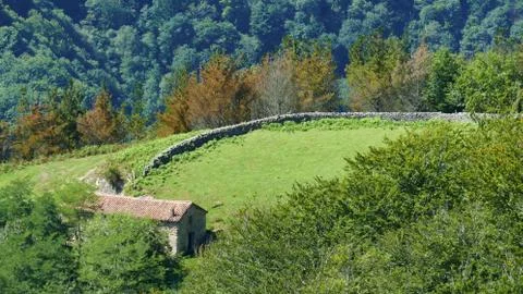 Stable of animals in the mount Stock Photos