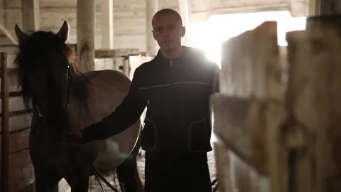 Stable boy taking care of horses. Slow motion. Stock Footage 136506343